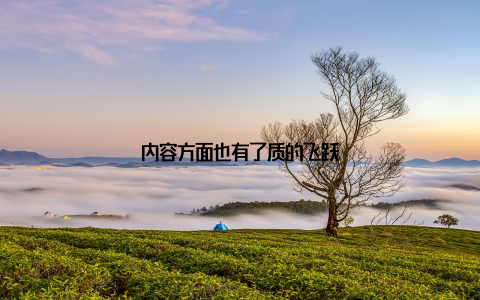 内容方面也有了质的飞跃