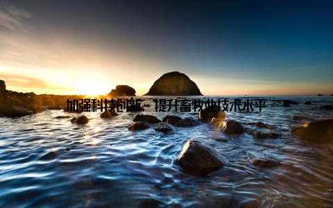 加强科技创新, 提升畜牧业技术水平