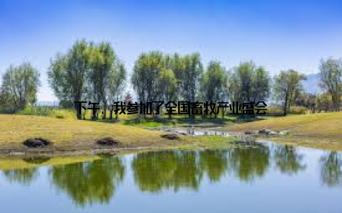 下午, 我参加了全国畜牧产业盛会