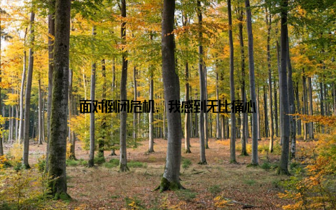 面对倒闭危机, 我感到无比痛心