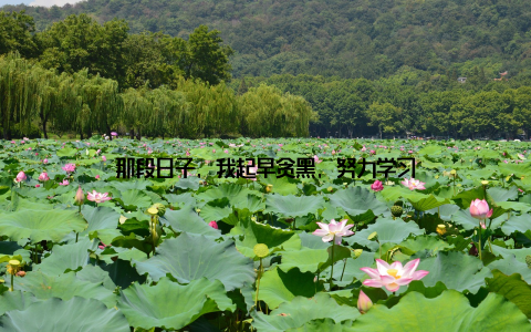 那段日子, 我起早贪黑, 努力学习