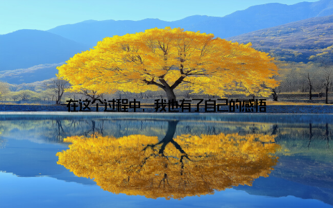 在这个过程中, 我也有了自己的感悟