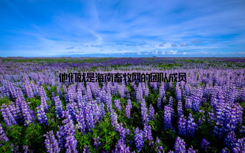 他们就是海南畜牧网的团队成员