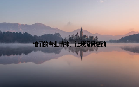 他们的专业精神, 让我深受感动