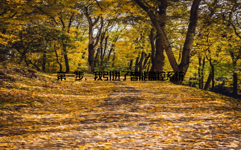 第一步, 我引进了智能监控系统