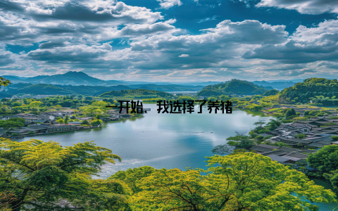 一开始, 我选择了养猪