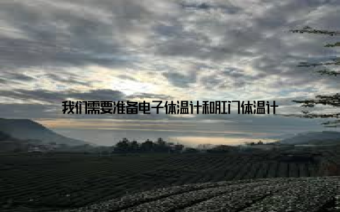 我们需要准备电子体温计和肛门体温计