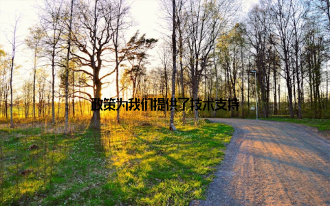 政策为我们提供了技术支持