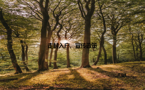 走村入户, 宣传政策