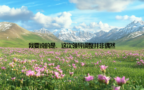 我要说的是, 这次领导调整并非偶然