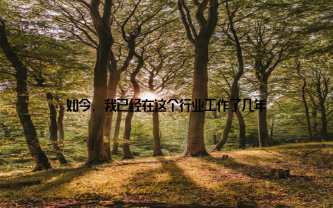 如今, 我已经在这个行业工作了几年