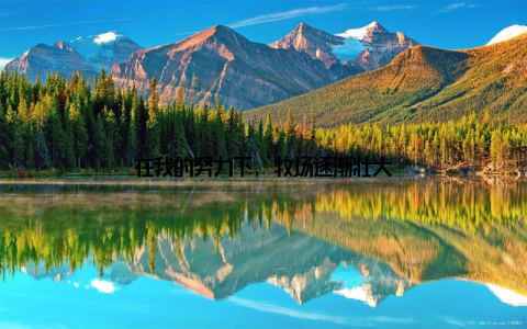 在我的努力下, 牧场逐渐壮大