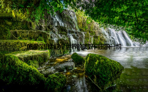 感谢你们为这个世界的美好付出的一切