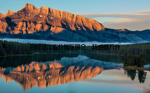 回首这次畜牧兽医展会, 我感慨万分