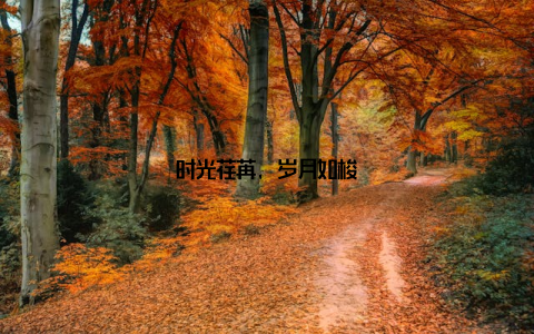 时光荏苒, 岁月如梭