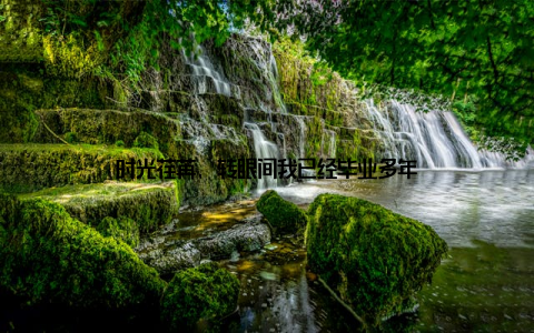 时光荏苒, 转眼间我已经毕业多年