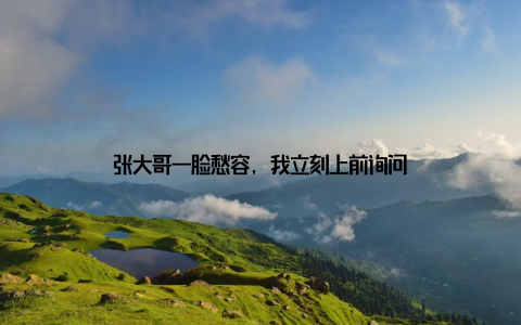 张大哥一脸愁容, 我立刻上前询问