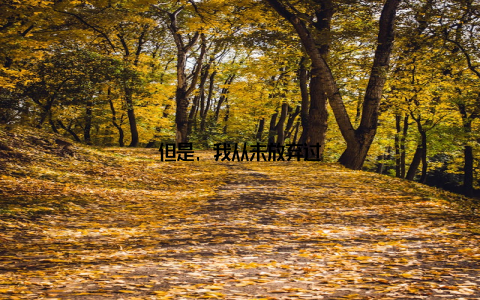 但是, 我从未放弃过