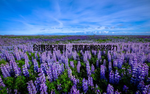 合理搭配饲料, 提高畜禽的免疫力