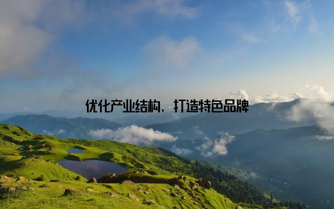优化产业结构, 打造特色品牌