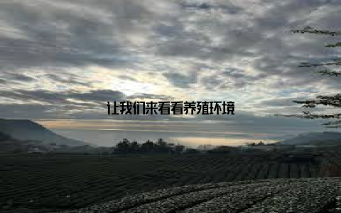 让我们来看看养殖环境