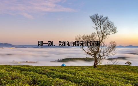 那一刻, 我的心情无比沉重