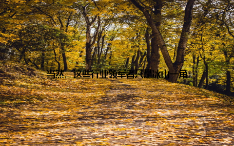 当然, 这些行业领军者只是冰山一角