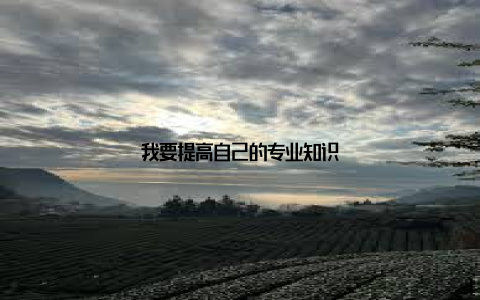 我要提高自己的专业知识