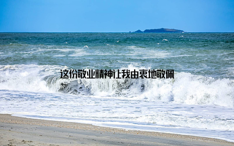 这份敬业精神让我由衷地敬佩