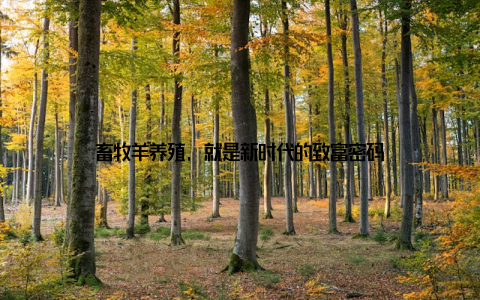 畜牧羊养殖, 就是新时代的致富密码