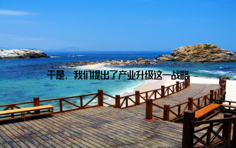 于是, 我们提出了产业升级这一战略