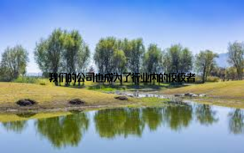 我们的公司也成为了行业内的佼佼者