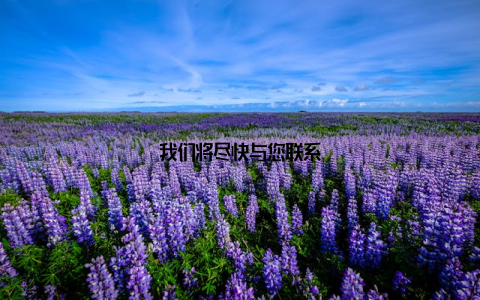 我们将尽快与您联系