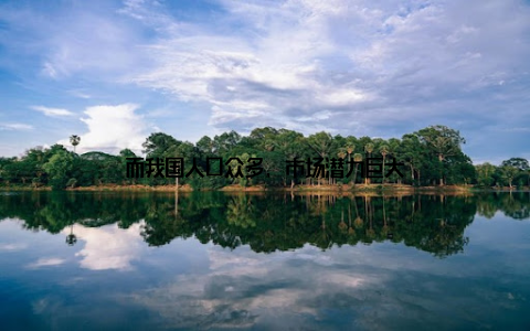 而我国人口众多, 市场潜力巨大