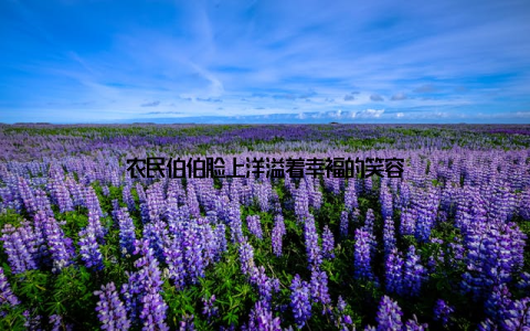 农民伯伯脸上洋溢着幸福的笑容