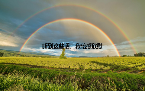 听到这些话, 我倍感欣慰