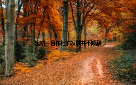 起初, 合作社的发展并不顺利