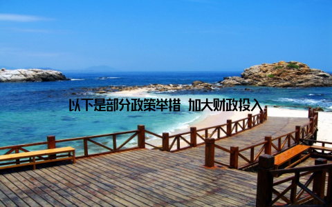 以下是部分政策举措 加大财政投入