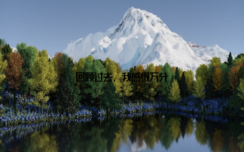 回顾过去, 我感慨万分