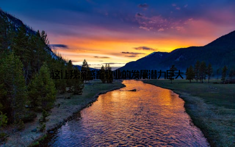 这让我深感畜牧业的发展潜力巨大