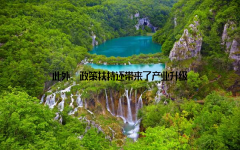 此外, 政策扶持还带来了产业升级