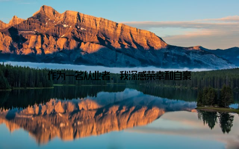 作为一名从业者, 我深感荣幸和自豪