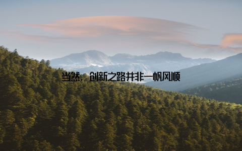 当然, 创新之路并非一帆风顺