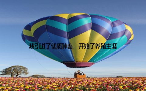 我引进了优质种畜, 开始了养殖生涯