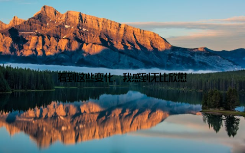 看到这些变化, 我感到无比欣慰