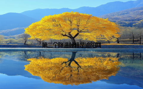 第二个降温秘籍是遮阳网