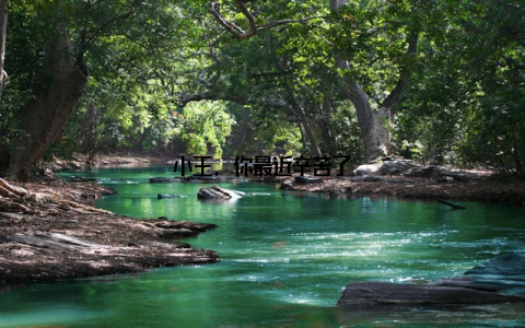 小王, 你最近辛苦了