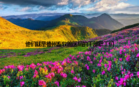 他们就是德州畜牧兽医局的干部职工们