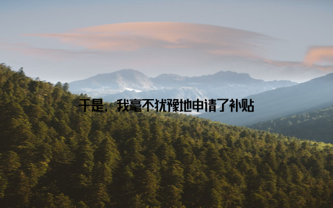 于是, 我毫不犹豫地申请了补贴