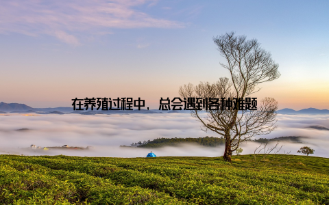 在养殖过程中, 总会遇到各种难题